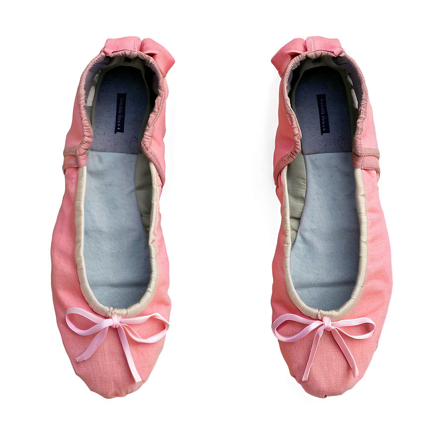 Canvas Ballet Shoes Png Muv