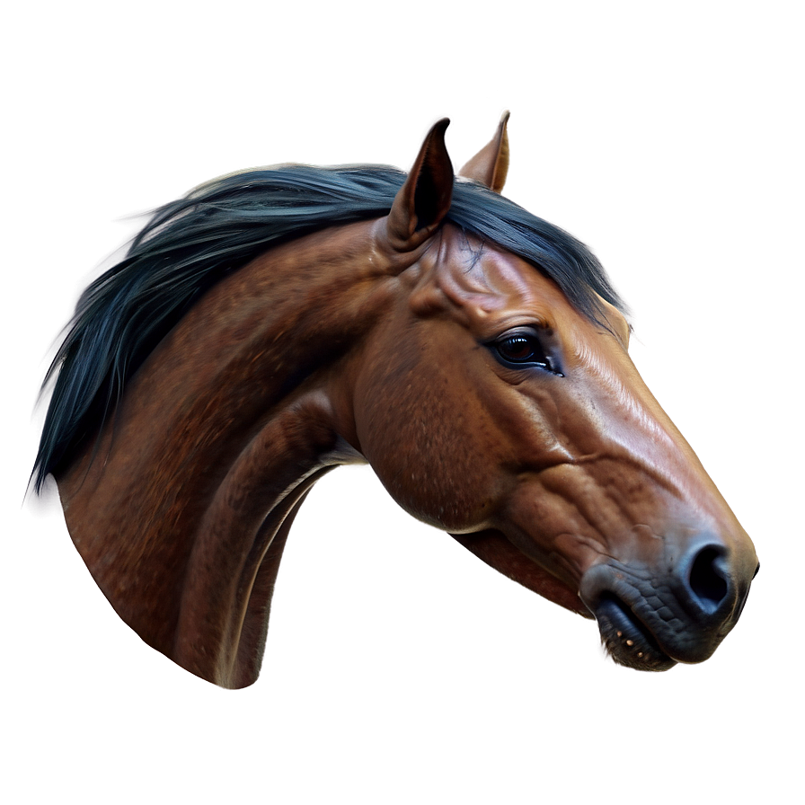 Captivating Horse Head Concept Png 50