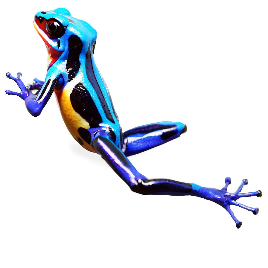 Captivating Poison Dart Frog Png 06132024