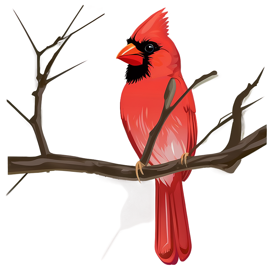 Cardinal Bird Vector Png 06252024