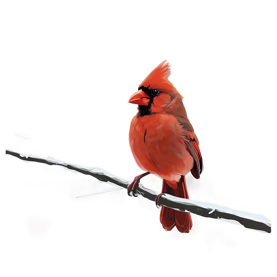 Cardinal Vector Art Png 05242024