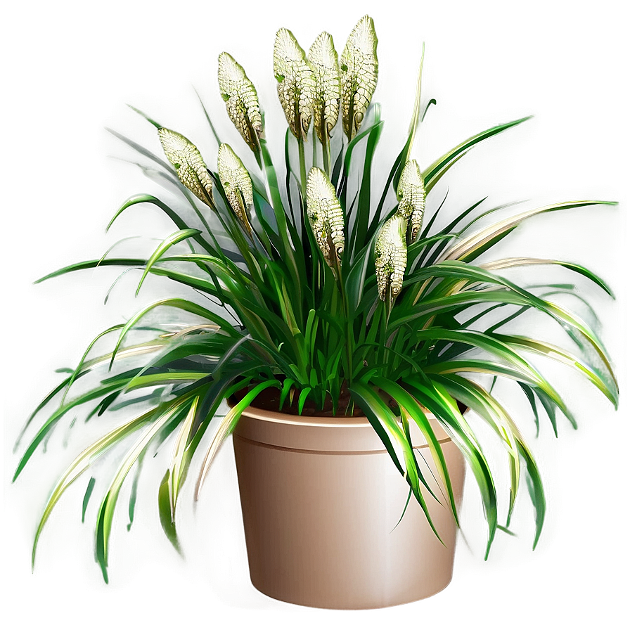 Carex Grass Decoration Png Yef95