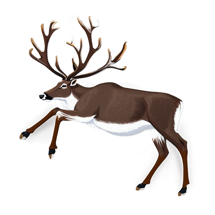 Caribou Fighting With Antlers Png 06292024