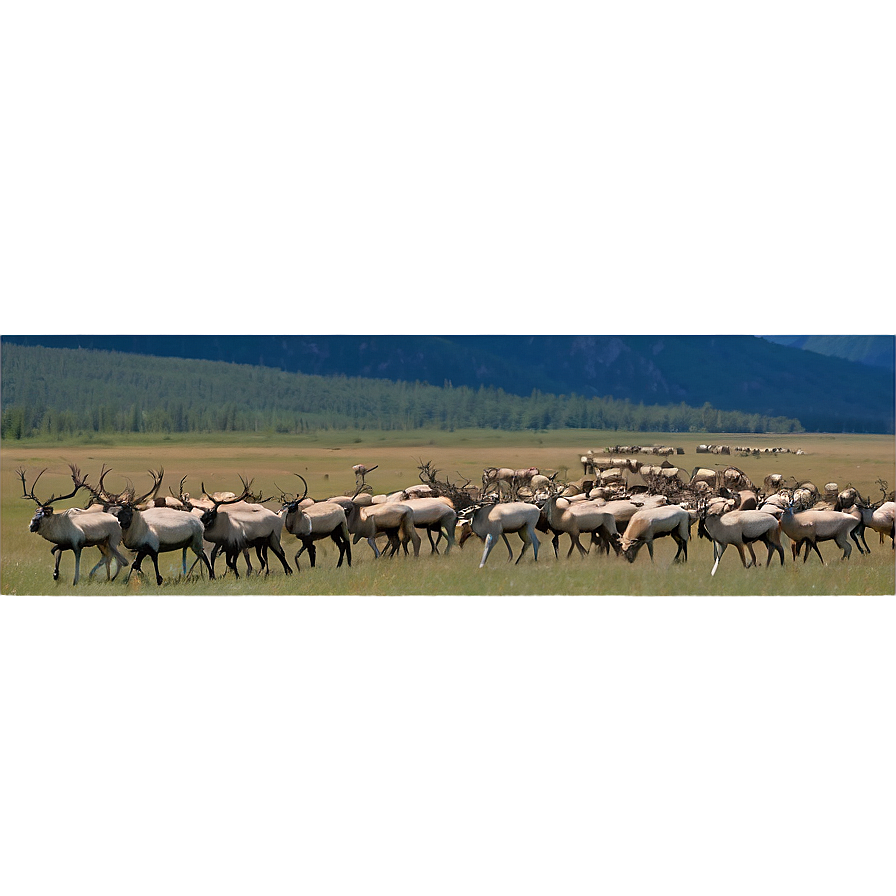 Caribou Herd Against Mountains Png 06292024