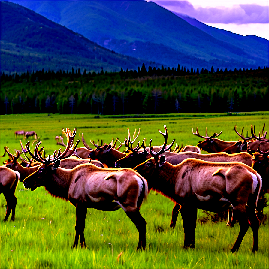 Caribou Herd Against Mountains Png Vex49