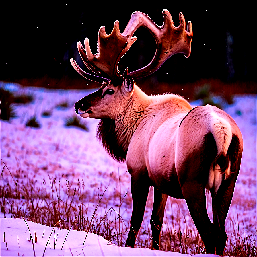 Caribou In The Wild Png 25