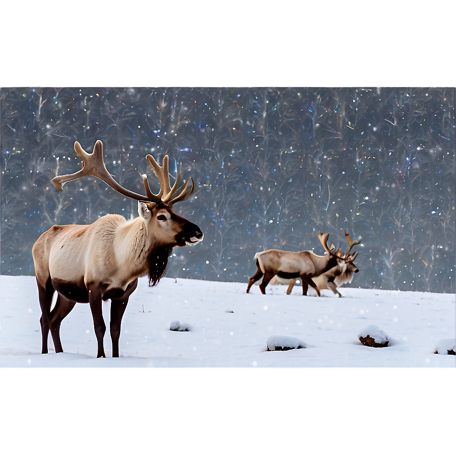 Caribou In Winter Wonderland Png 81