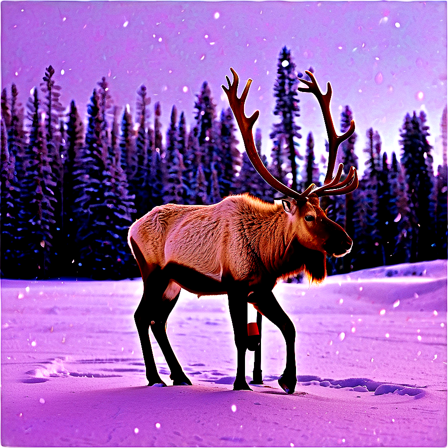 Caribou In Winter Wonderland Png Yxb