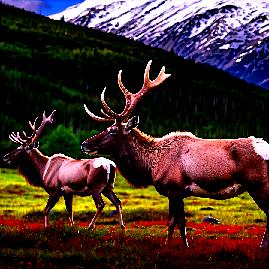 Caribou Roaming Free Png 33