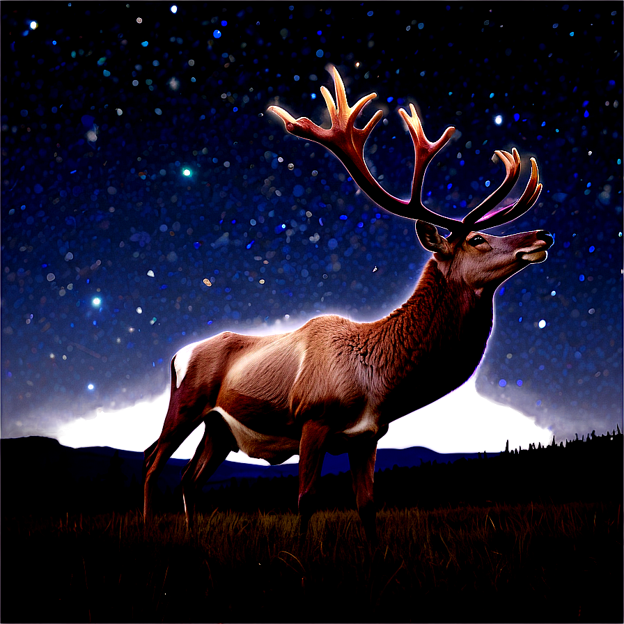 Caribou Under Starry Sky Png Mnn