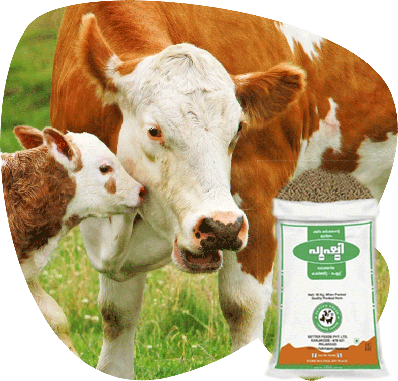 Caring Cowand Calfwith Feed Package