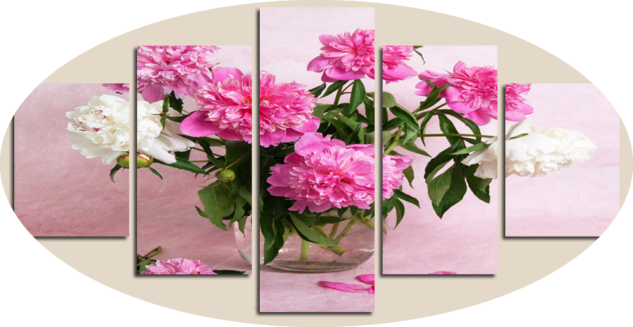 Carnation Canvas Art Panels