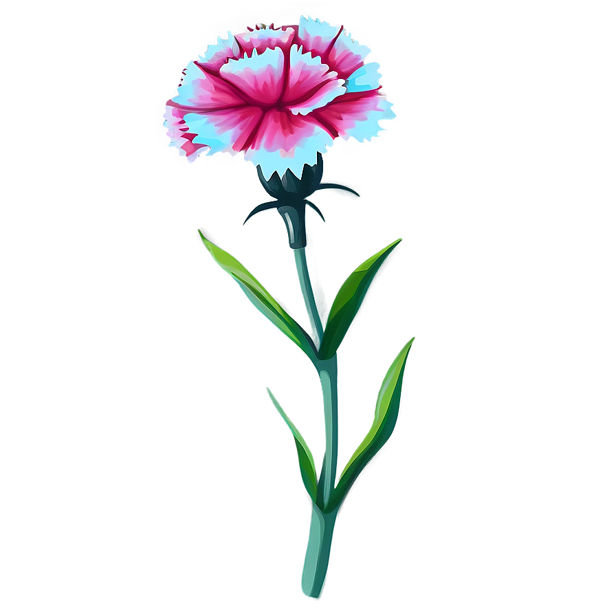 Carnation Flower Drawing Png 05252024