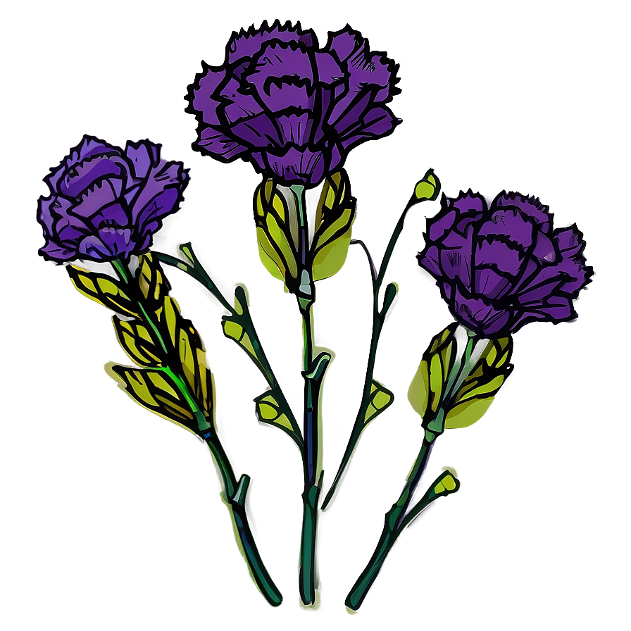 Carnation Flower Drawing Png Vpq48