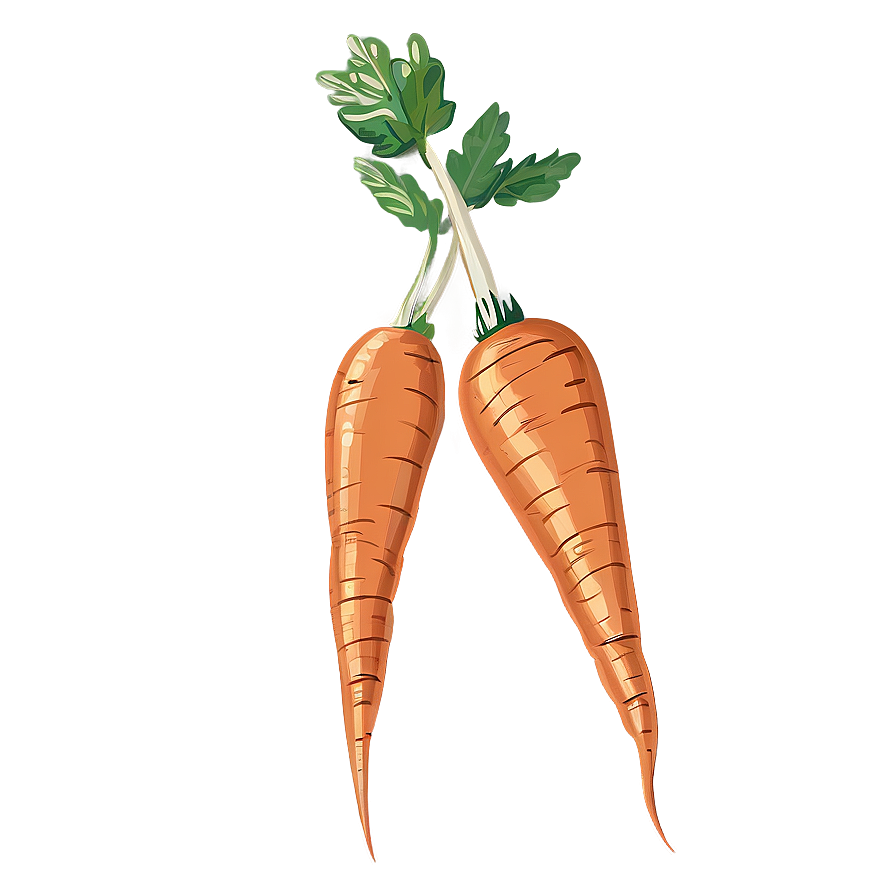 Carrot Doodle Png Okm