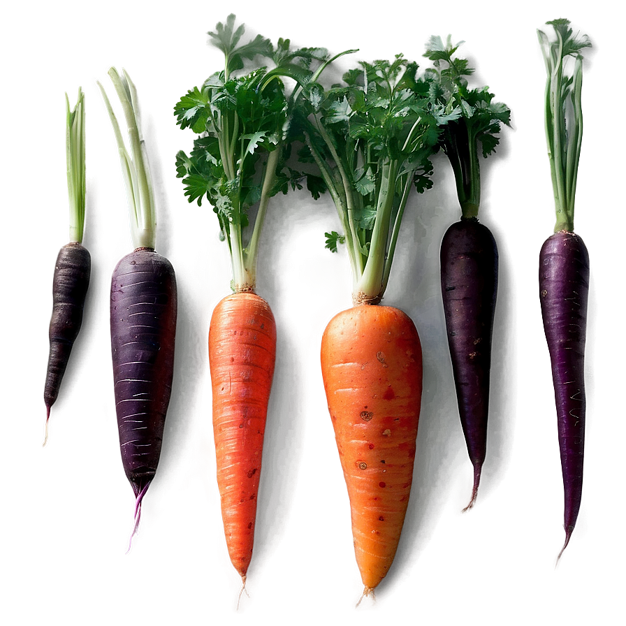 Carrot Julienne Png 6