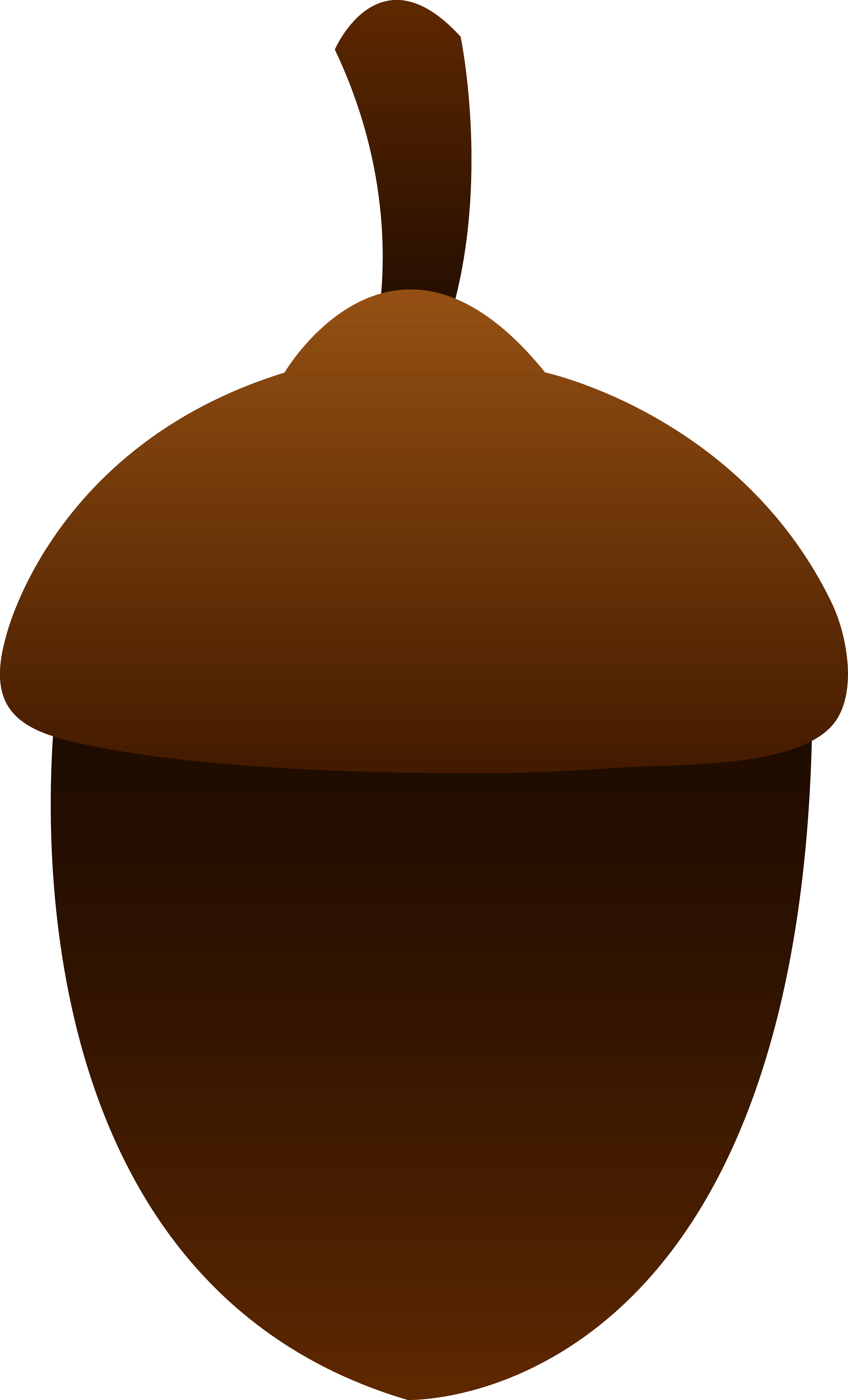 Cartoon Acorn Illustration