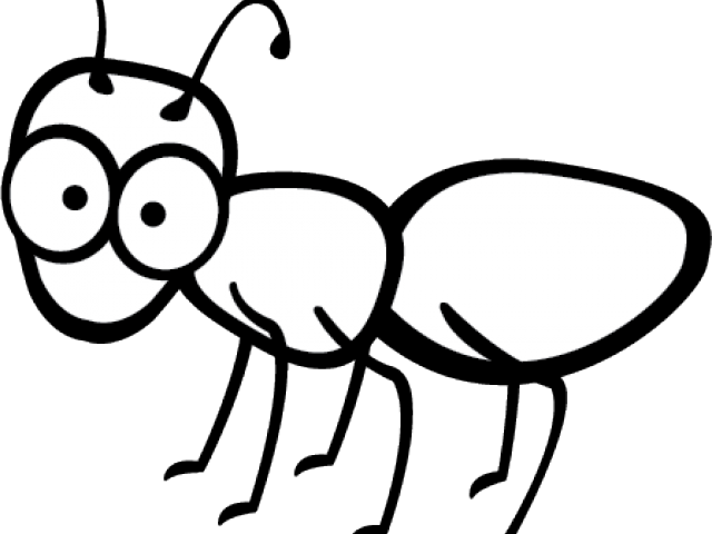 Cartoon Ant Illustration