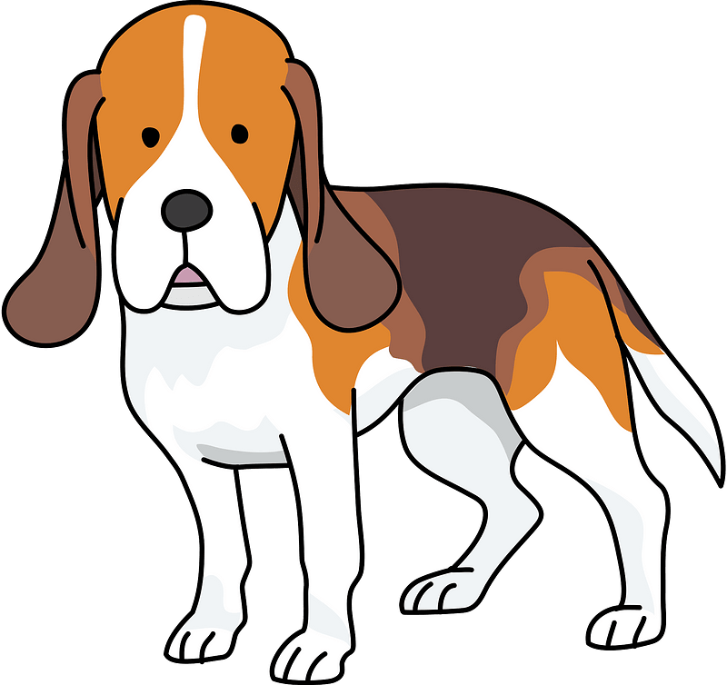Cartoon Beagle Standing