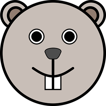 Cartoon Bear Face Graphic