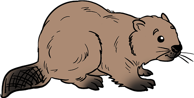 Cartoon Beaver Illustration