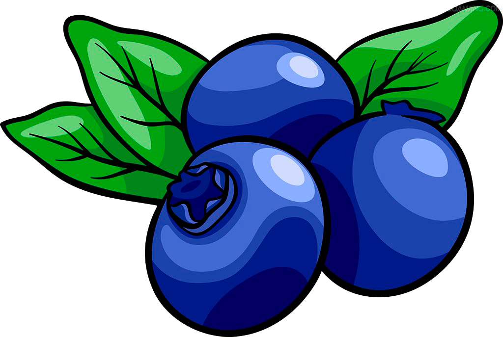 Cartoon Blueberries Illustration