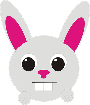 Cartoon Bunny Face Graphic