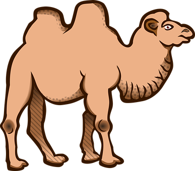 Cartoon Camel Illustration