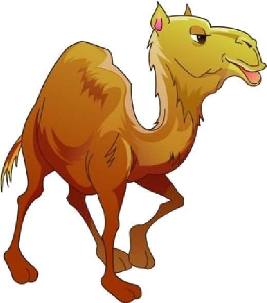 Cartoon Camel Illustration