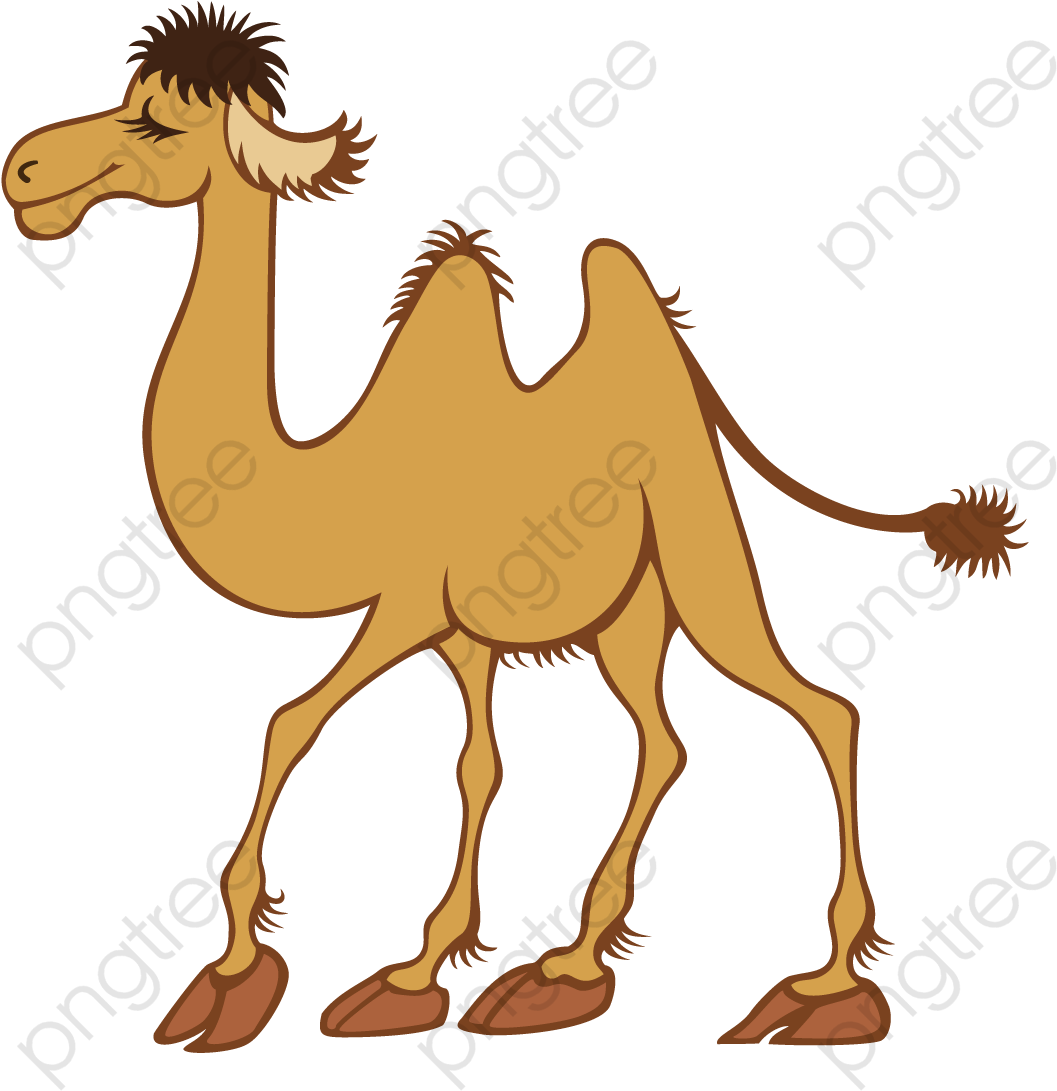 Cartoon Camel Illustration