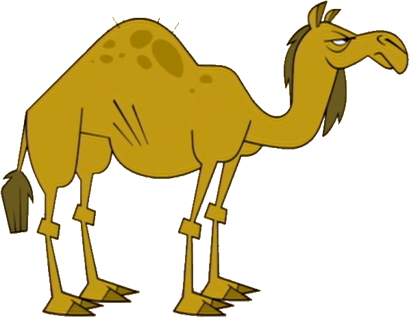 Cartoon Camel Illustration