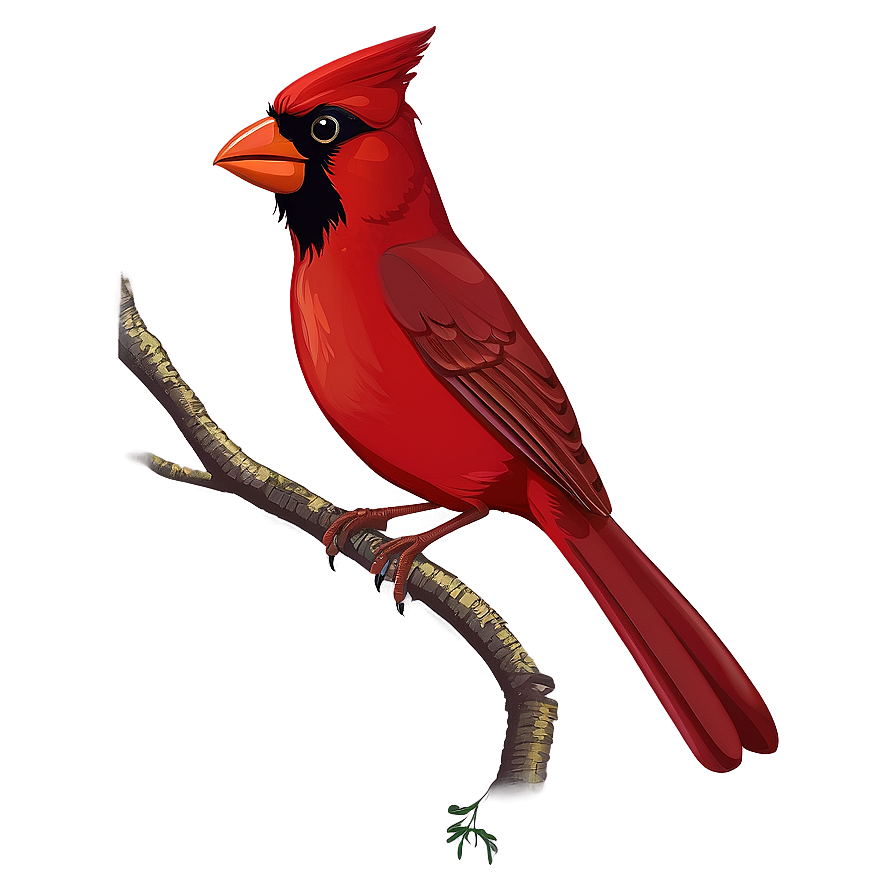 Cartoon Cardinal Bird Png Kwb