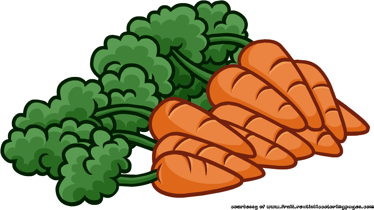 Cartoon Carrots Bunch Illustration