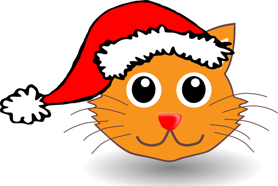 Cartoon Catin Santa Hat