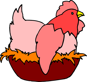 Cartoon Chicken Illustration