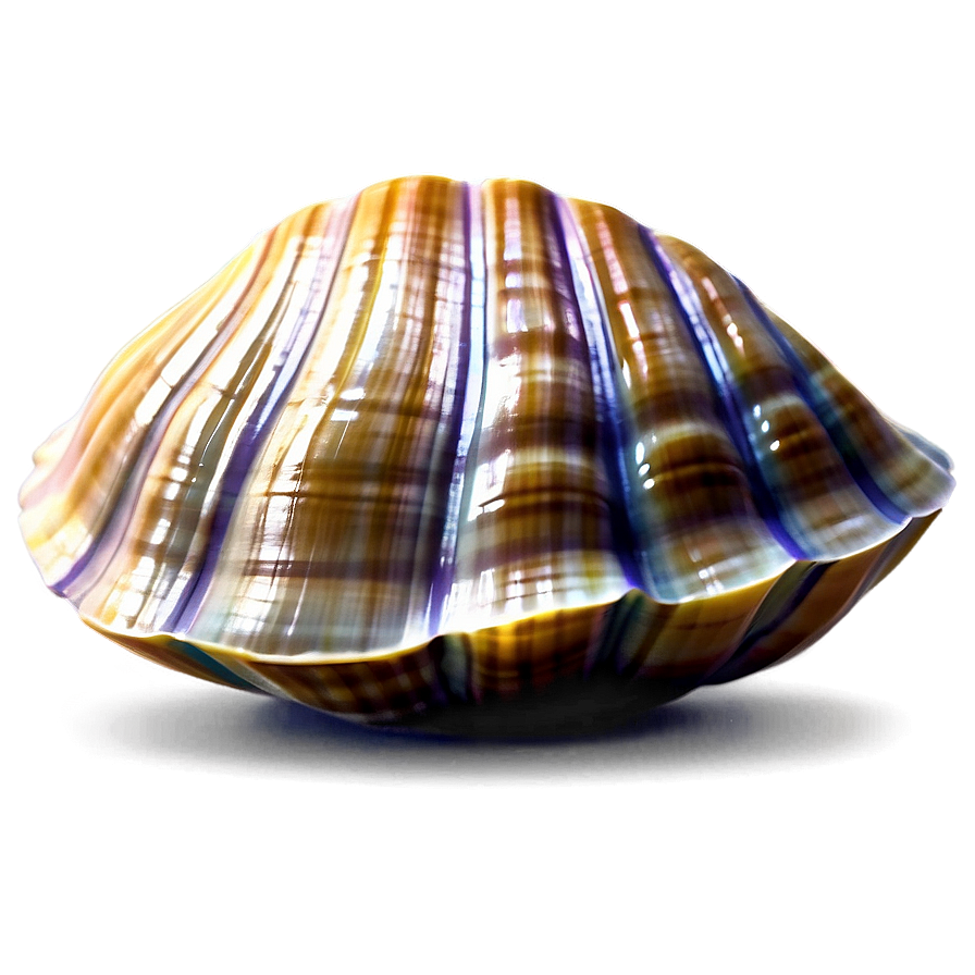 Cartoon Clam Shell Png Sfy11