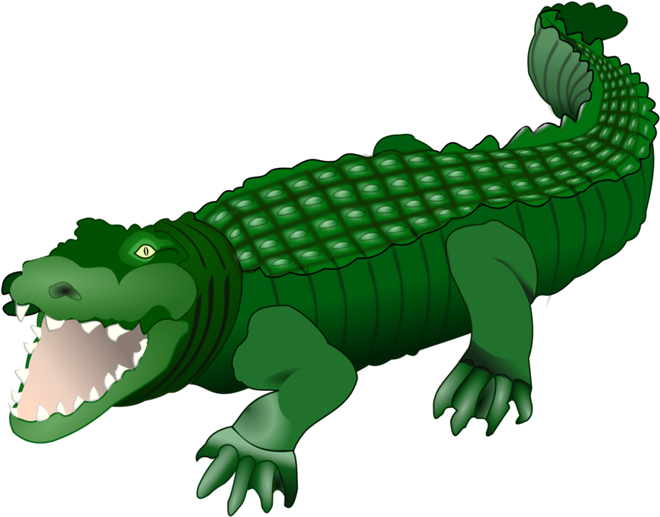 Cartoon Crocodile Illustration