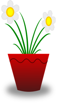 Cartoon Daisiesin Red Pot