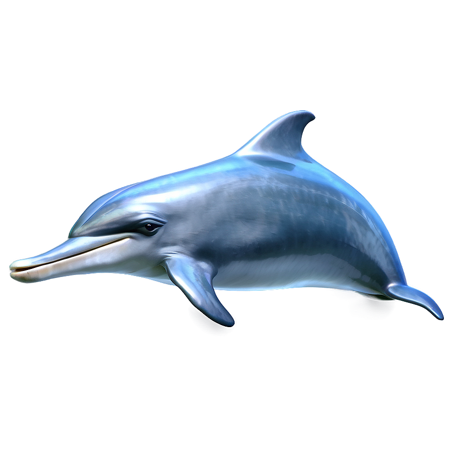 Cartoon Dolphin C