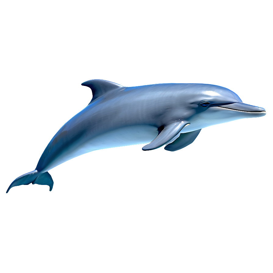 Cartoon Dolphin In Ocean Png Sut