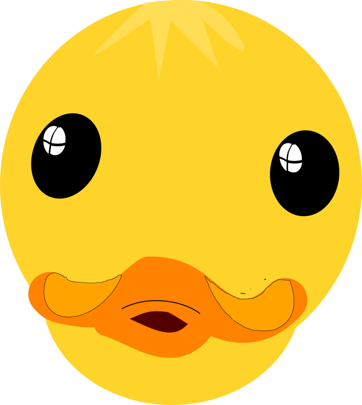 Cartoon Duck Face Graphic