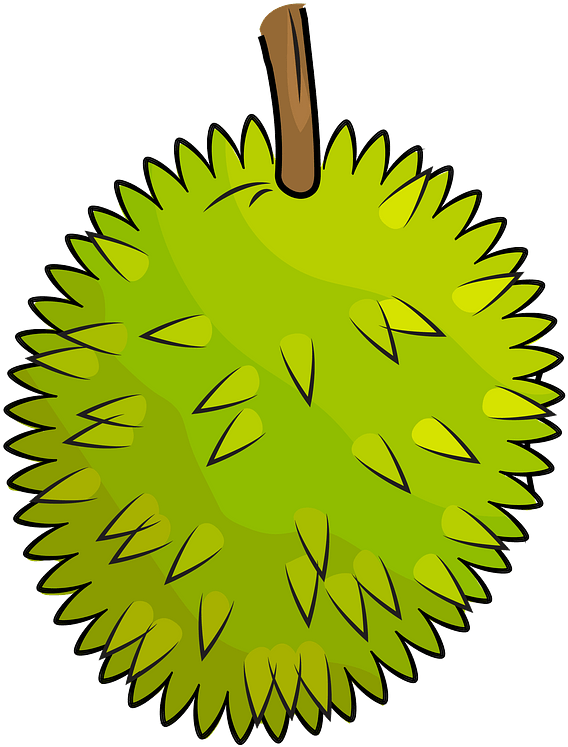 Cartoon Durian Fruit Illustration