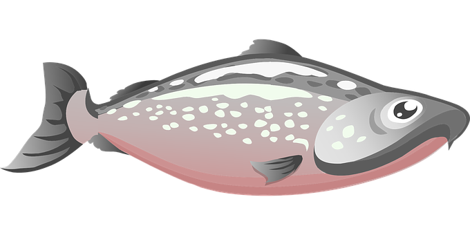 Cartoon_ Flatfish_ Illustration