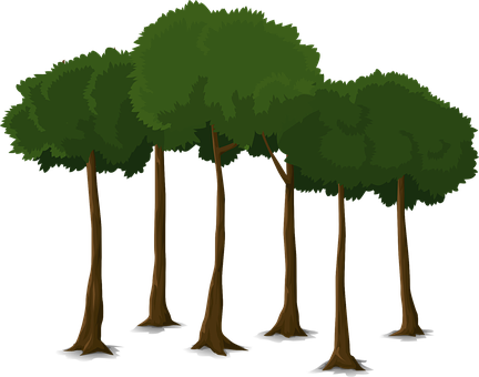 Cartoon Forest Trees Vector