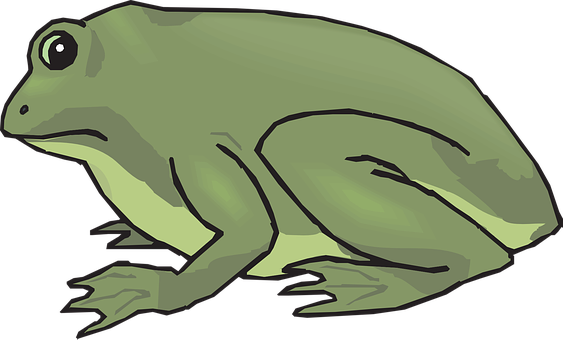 Cartoon Frog Side View Illustration