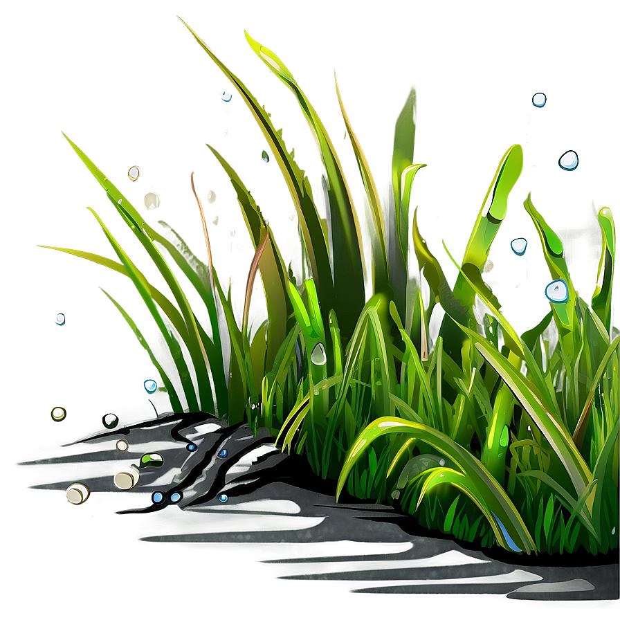 Cartoon Grass With Dew Png 06122024