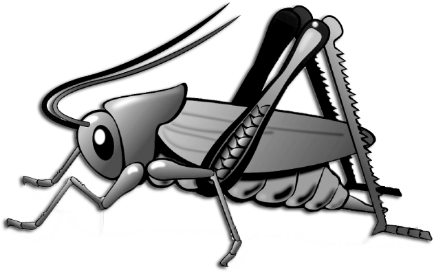 Cartoon Grasshopper Illustration