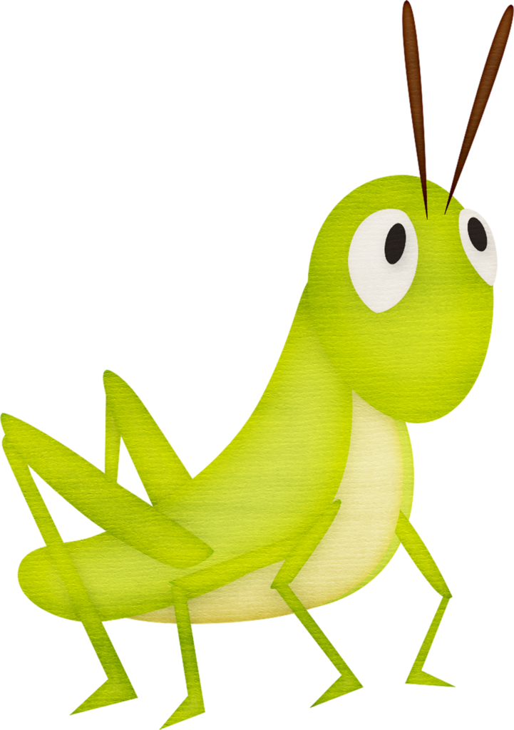 Cartoon Grasshopper Illustration