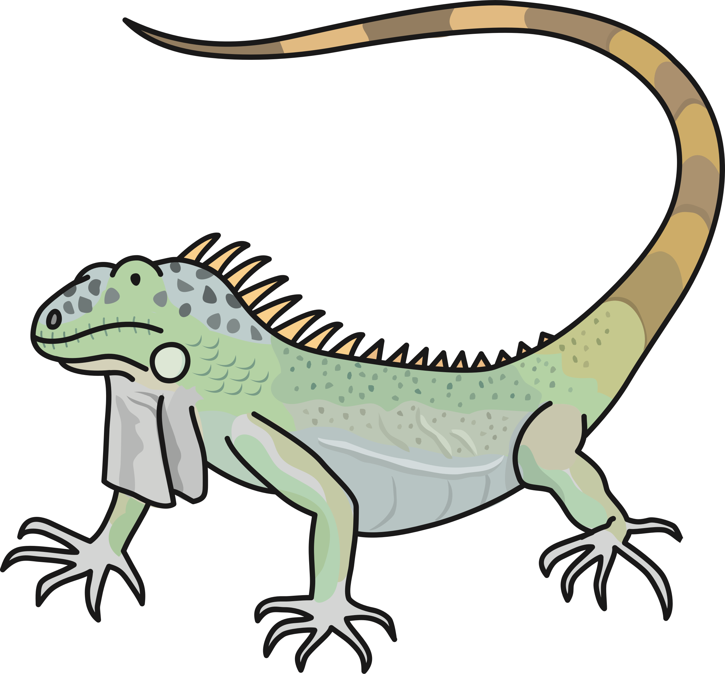 Cartoon Green Iguana Illustration