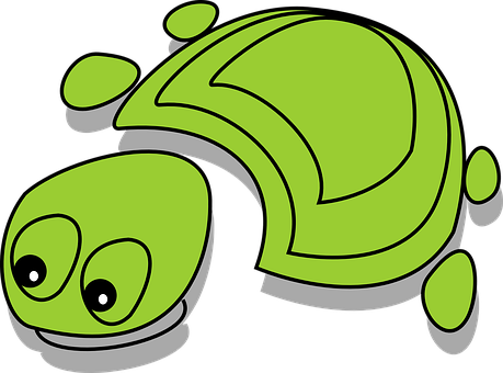 Cartoon Green Turtle Graphic